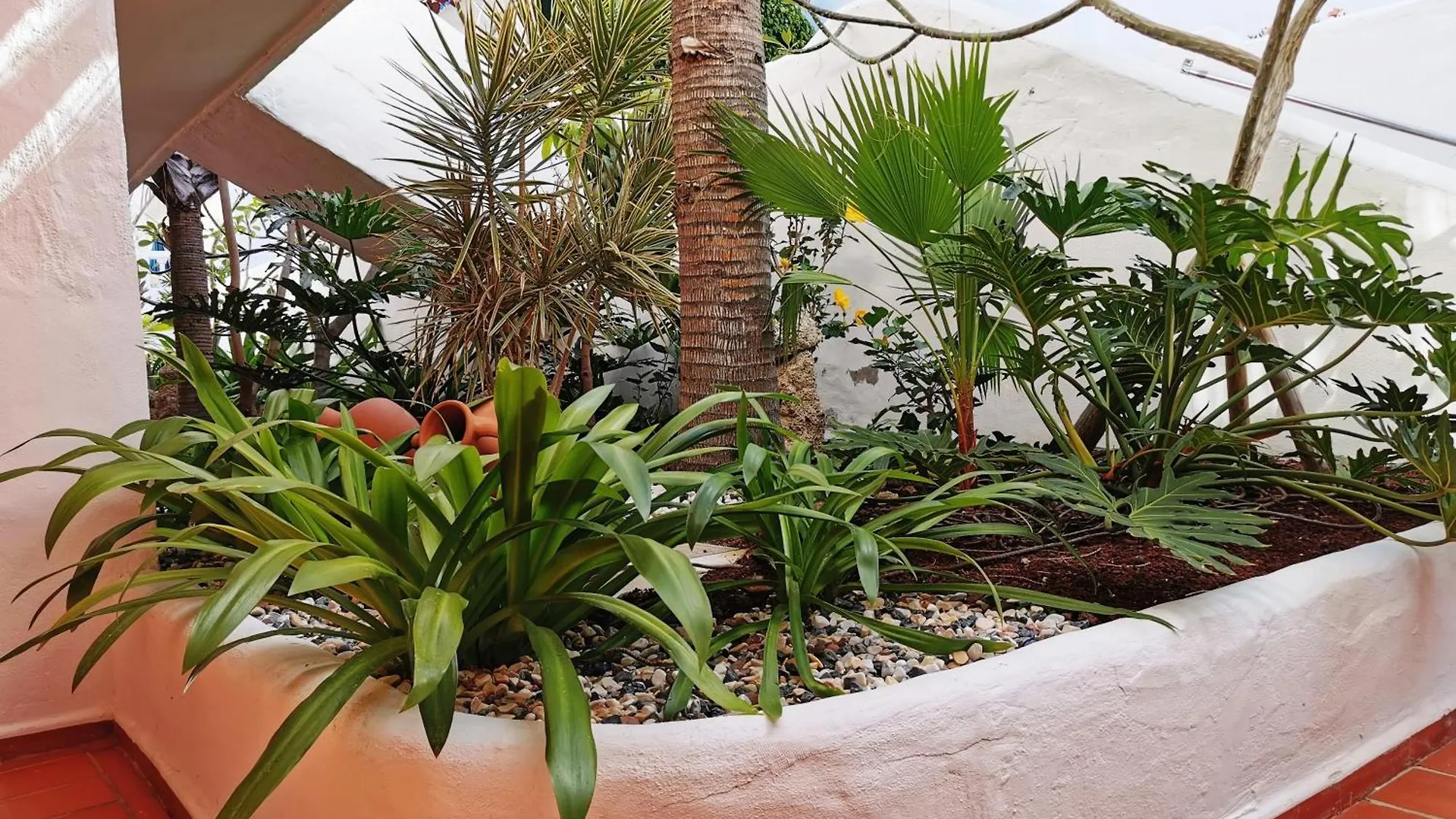 דירות ארונה Royal Panorama Penthouse