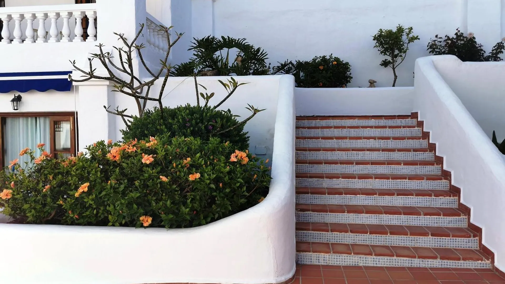 דירות ארונה Royal Panorama Penthouse