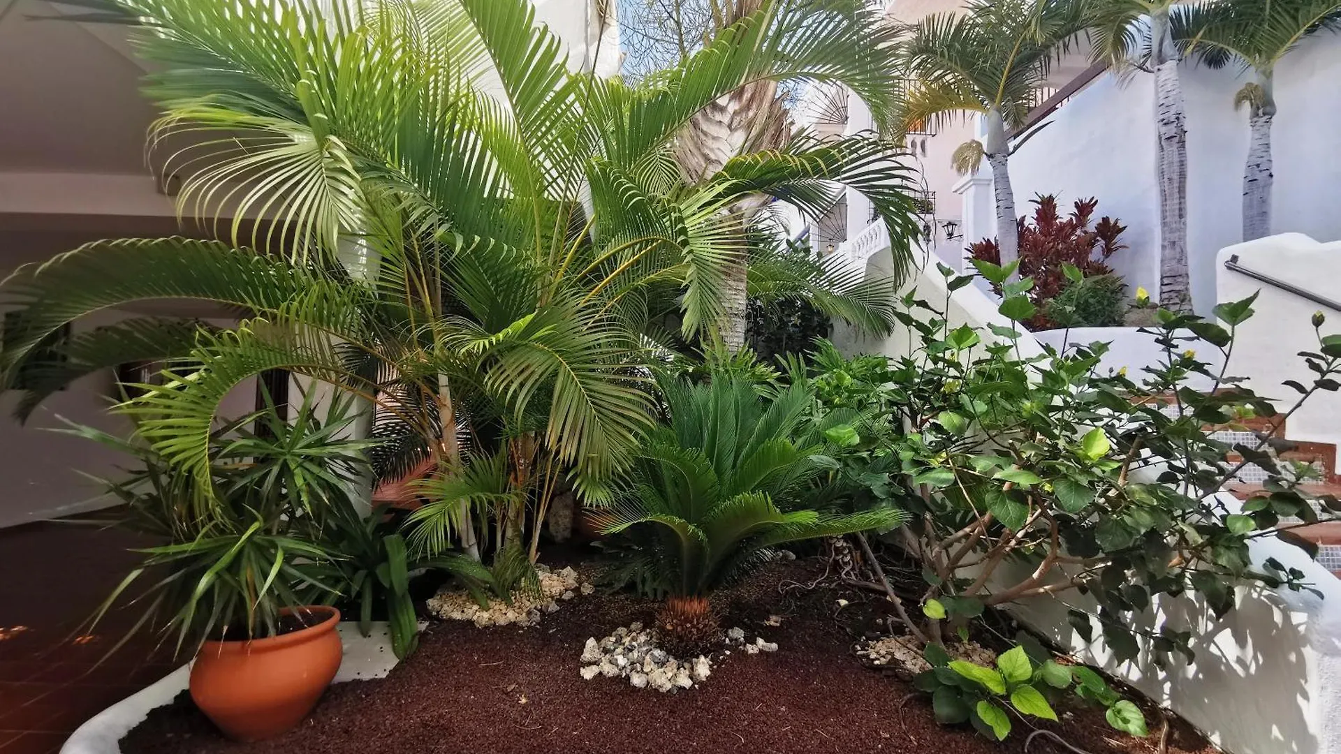 דירות ארונה Royal Panorama Penthouse 0*,