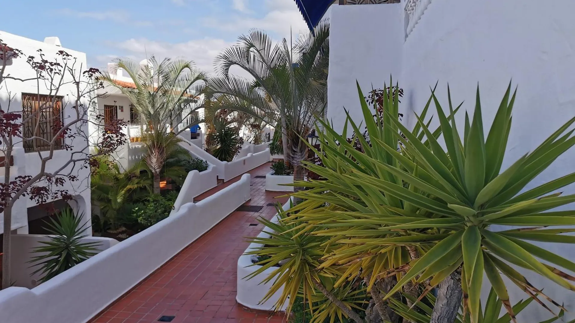 דירות ארונה Royal Panorama Penthouse